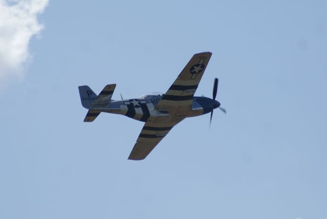 - Warbird
