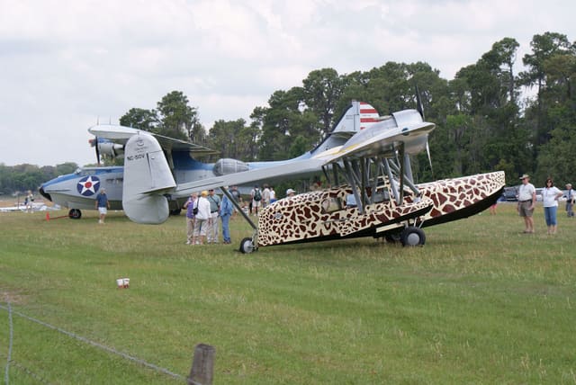 - Single-engine aircraft
