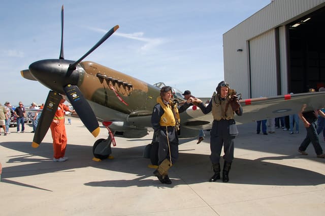 - Warbird