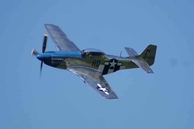 - Warbird
