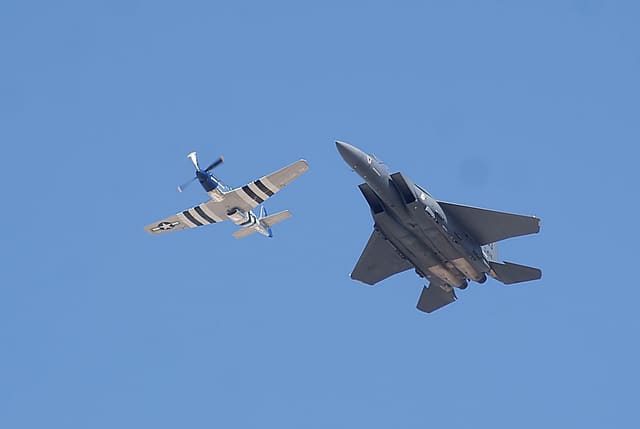 - Warbird
