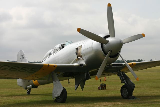- Warbird