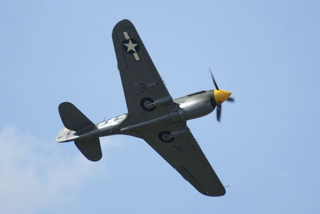 - Warbird