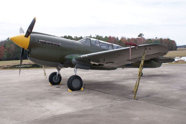 - Warbird
