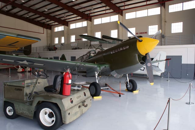 - Warbird