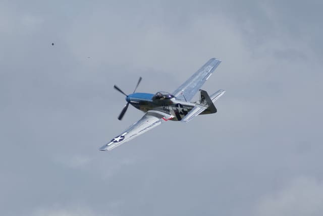 - Warbird