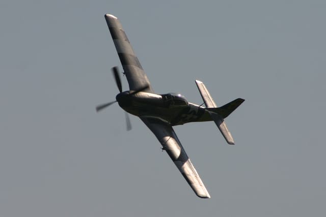 - Warbird