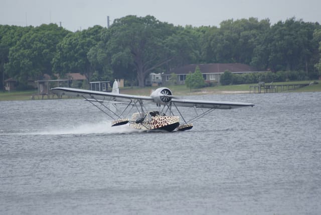 - Single-engine aircraft