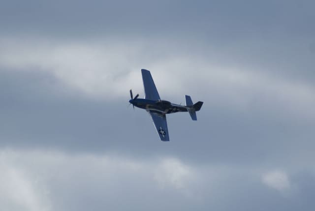 - Warbird