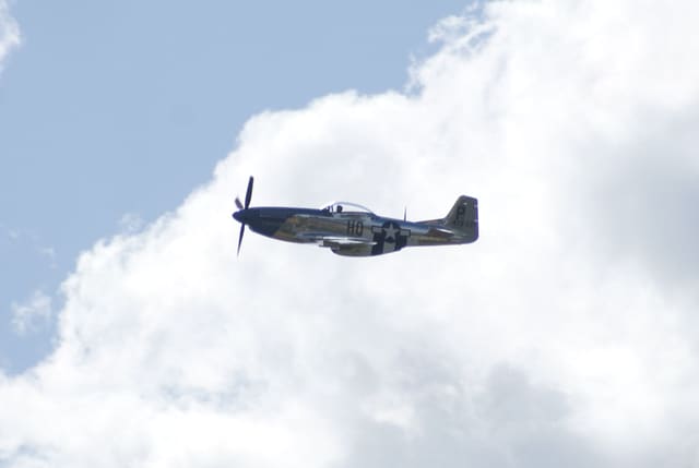- Warbird
