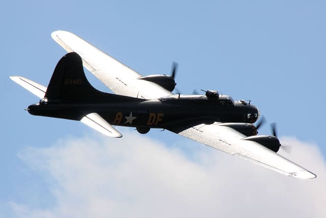 - Warbird