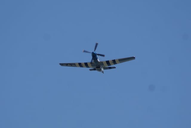 - Warbird