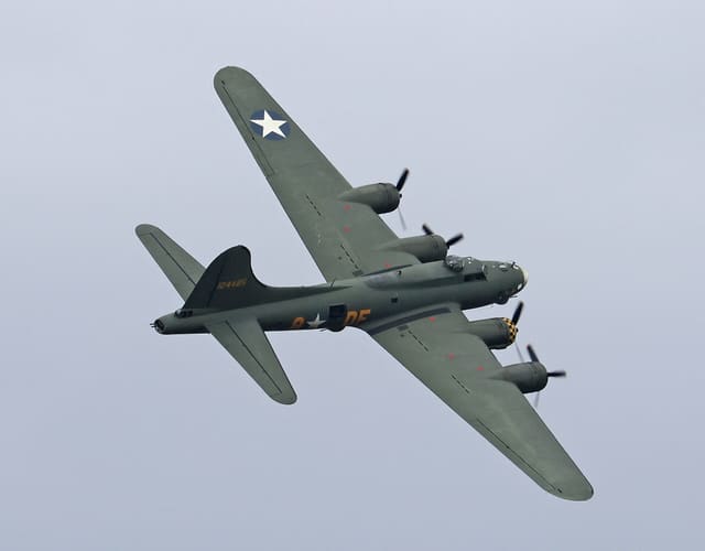- Warbird