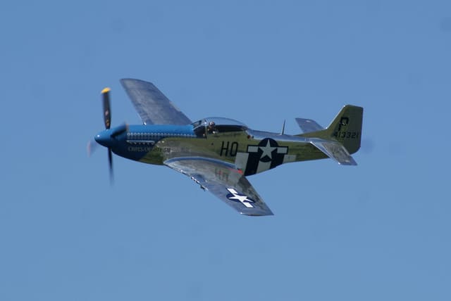- Warbird