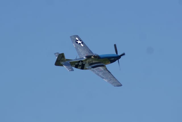 - Warbird
