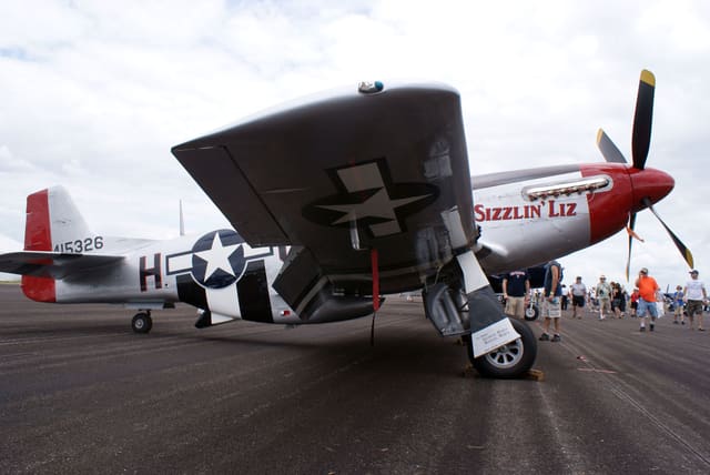 - Warbird