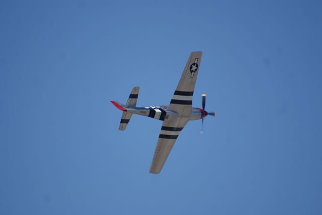 - Warbird