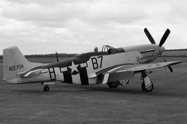 - Warbird