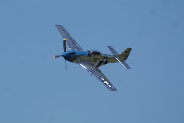- Warbird