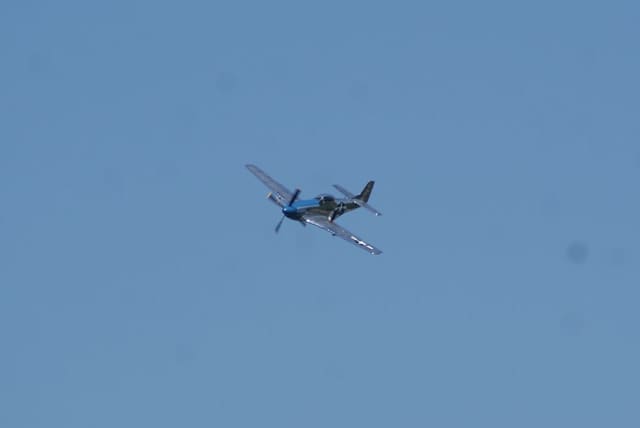 - Warbird