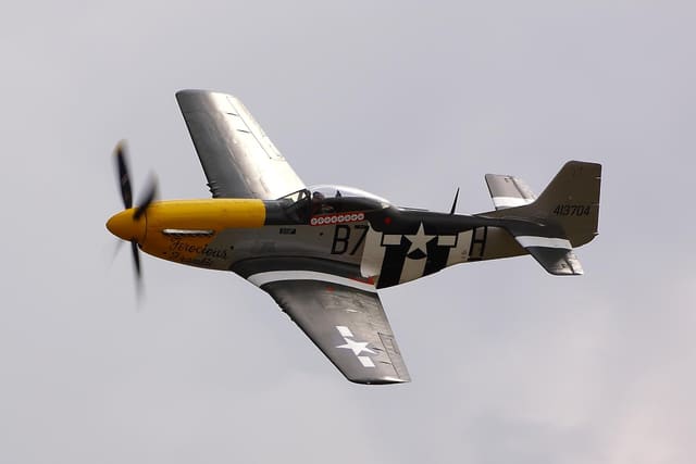 - Warbird