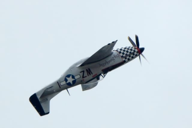 - Warbird
