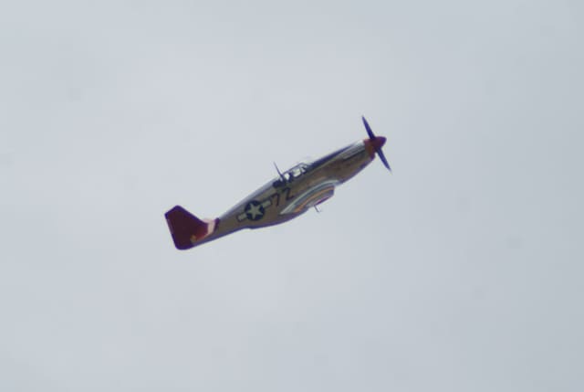 - Warbird