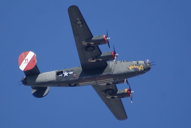 - Warbird