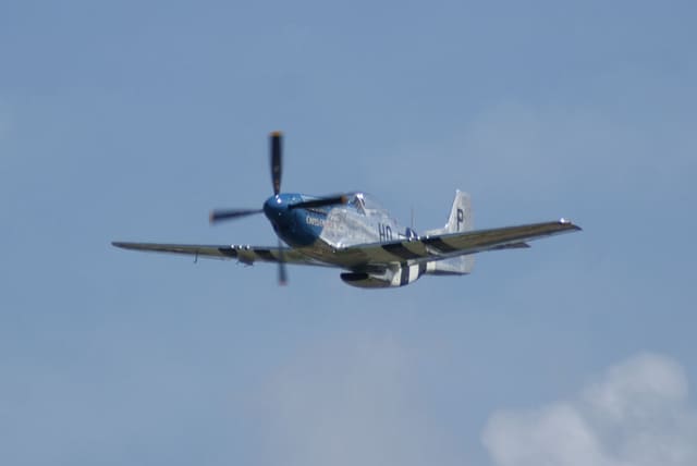 - Warbird