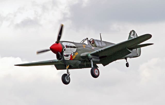 - Warbird