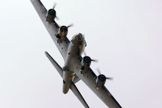 - Warbird