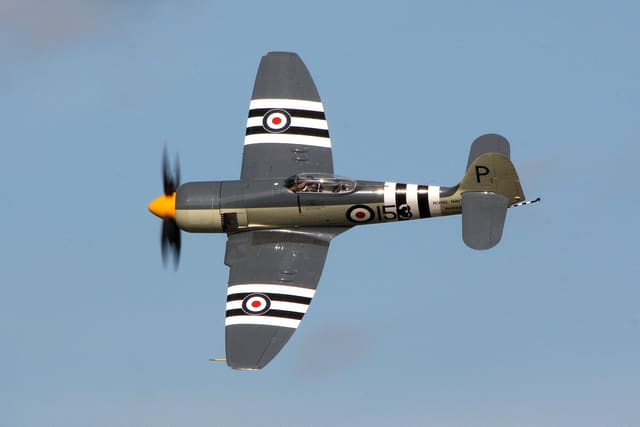 - Warbird