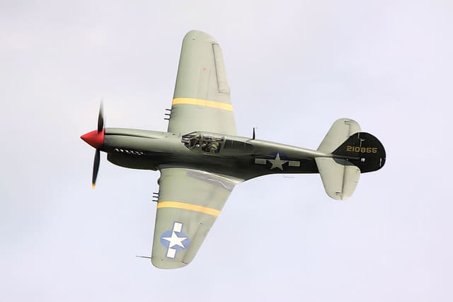 - Warbird