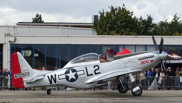 - Warbird