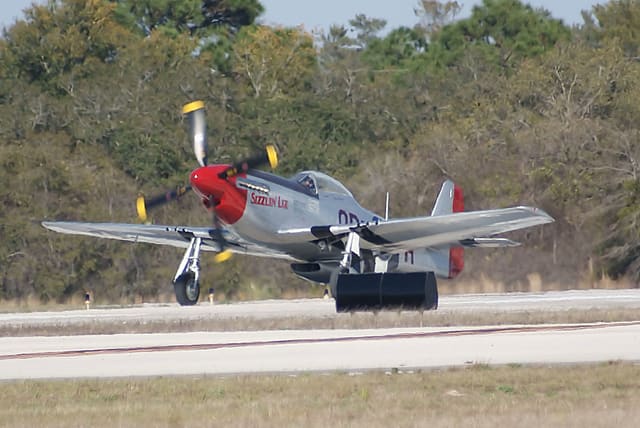 - Warbird