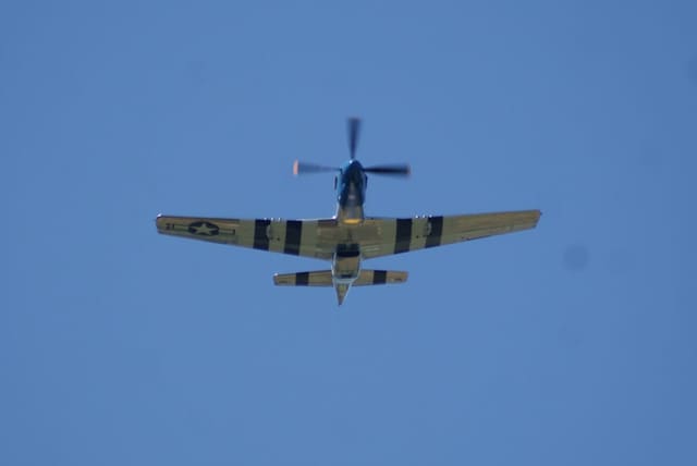 - Warbird