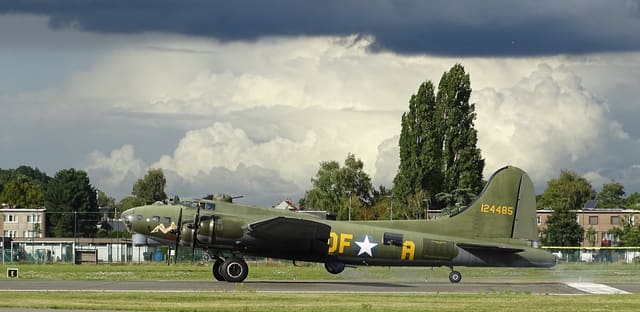 - Warbird