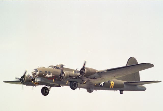 - Warbird