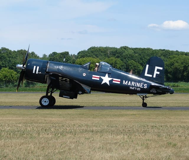 - Warbird