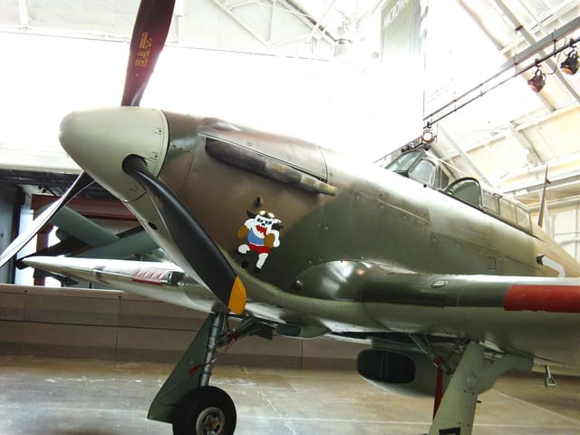 - Single-engine aircraft