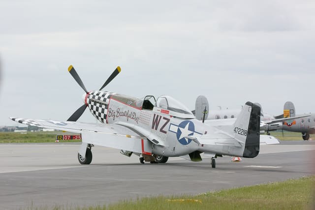 - Warbird