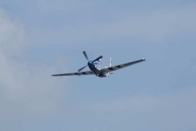 - Warbird