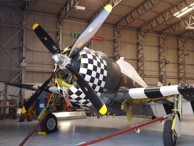 - Warbird