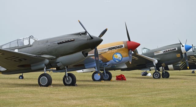 - Warbird