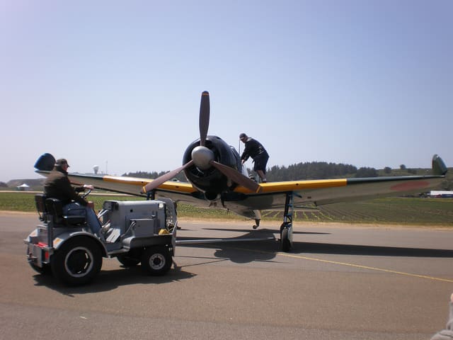 - Warbird