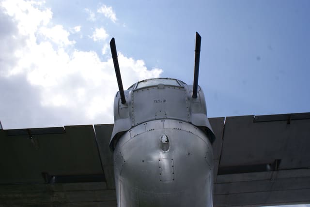 - Warbird