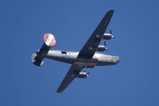 - Warbird