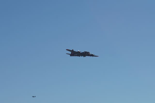- Warbird