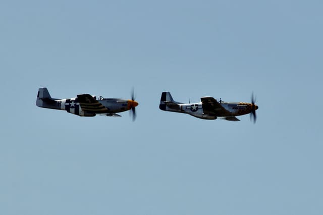 - Warbird