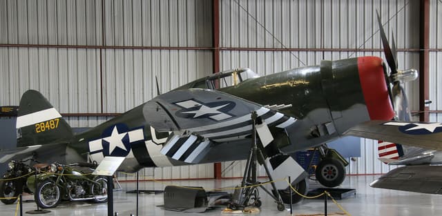 - Warbird
